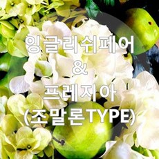 잉글리쉬페어&프리지아프래그런스오일