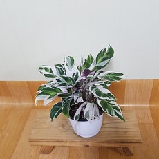 e448a32f657d5a560f154d121f4a2974d1d7ac3ec48bd6bc584cedaf6815.jpg