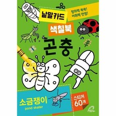 곤충낱말카드