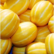 (과일천국1번지) 고당도 성주 꿀 참외, 3kg