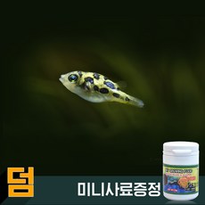 74eca0b26c848901f300b3e12b9c267d338815e09c65e96d59404990b930.jpg