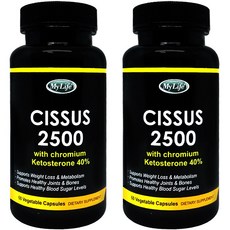 브루드보르스테120