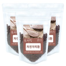 순하당 인도 차전자피환 (질경이씨앗), 3팩, 300g