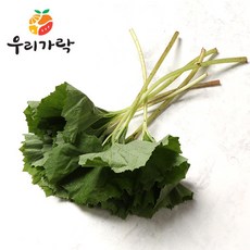[우리가락] 머위잎 1kg 이내, 상세 설명 참조