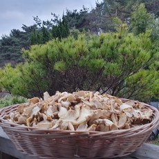 지리산별마루 말린생강 건조생강 200g 100g