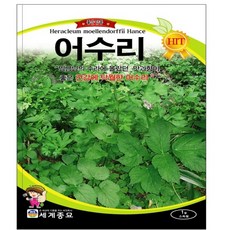어수리잎생것영양성분
