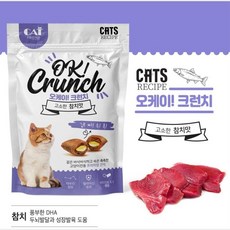 고양이감기약치료제