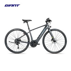 자이언트 전기자전거 FAST E+1 700C