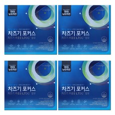 차즈기효능