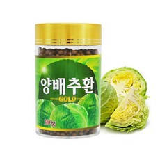 단비식품 양배추 환 골드 300g x3병 설포라판 추천 알약 정 분말, 1병