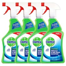 영국 Dettol 데톨 마일드 리무버 스프레이 750ml 4개
