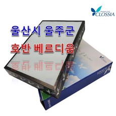 송도베르디움더퍼스트