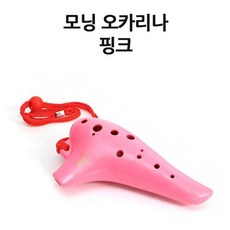 중학생리듬악기