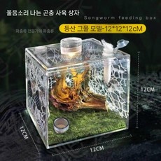 왕사마귀 피부 왕사마귀암컷 파충류 우리집왕사마귀, 15cm 클라이밍