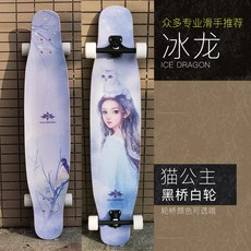 해외출고상품 초보 입문용 댄싱용 보드 롱보드 아이스 롱보드 양면패턴 스노보드 남자 우주인 댄싱댄서 캣보드-51331, 옵션22