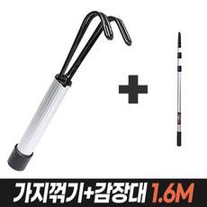 감나무장대