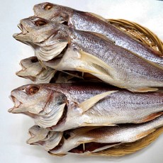 속초중앙시장반건조생선