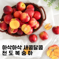 복숭아난좌