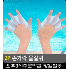 스키레벨3개인강습