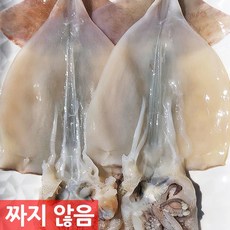 반건조오징어파지