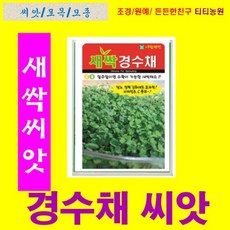 (씨앗) 새싹경수채 30g 은은한 향과 순한맛, 1개