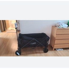 노르디스크웨건블랙