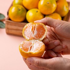 제주직송 하우스 감귤 2kg 3kg 5kg 가정용(사이즈 선택), 08.감귤 5kg 로얄과(S-M), 1개
