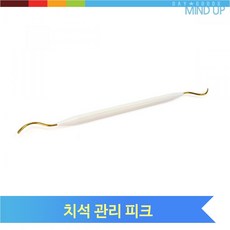 치석 관리 피크 티타늄코팅 멀티 치태 치아 관리용품