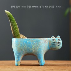 원숭이꼬리선인장