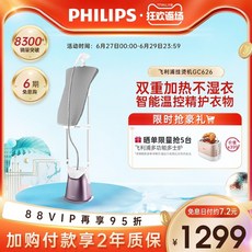 딜루비스스팀다리미