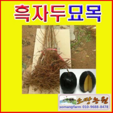 deb1fb870f9adb9f9cb0900f5da1844bafe69ef401827b3bdd79e363384a.png