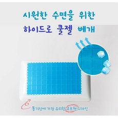 편백의아침
