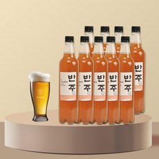 테라브루 수제맥주 밀키트 반주에일 8리터 8L 1개