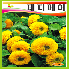 10e8687eb962d677edf640b6c0495cbda212157cfeb8fddc4d4506e934b1.png