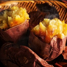 파머스마일 해남 호풍미 호박 꿀 고구마, 1개, 한입 5kg