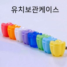 자동차유치보관함