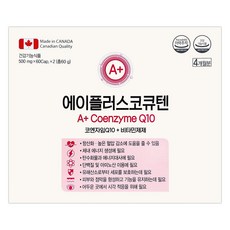 에이플러스코큐텐