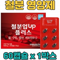 비 헴 철 분 철분제 구리 엽산 비타민 B12 멀티 복합 혼합 기능성 캡슐 영양제 보충제 보조제 온 우리 가족 전연령 남녀노소 중년 장년 노년 층 부모님 현대인 직장인, 1박스, 60캡슐