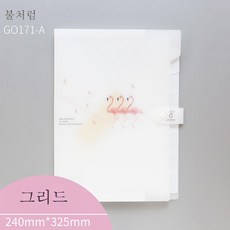 인화확대기초점