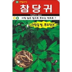 AR 참당귀 토당귀(중포장) 국내채종 종자 씨앗 1200립, 1개