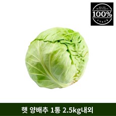 국산미니양배추