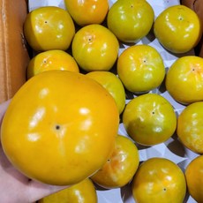 경남 밀양 진영 단감 아삭아삭 달콤한 부유 단감, 단감 중5kg (25~30과)