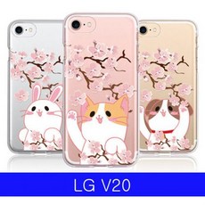 v20