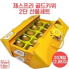 봄달래 제스프리 골드키위 2단 설 명절 선물세트, 1세트, 2단 2.8kg (20개입)