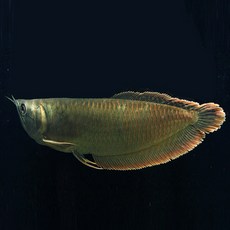 578f2b85087777c0c9d0c330dd22e745cd4a077c1f8febba90e867fb774f.jpg