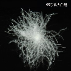 35424a76adef7945698387a4ffbaa4ac84cb80f345bf226f82d8f0505177.jpg