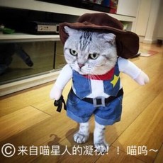 73b19e2ec844d63b2a4bb0f74dde9fe66beef2c4e2c6684331365e3085d7.jpg
