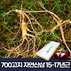 20년산삼가격