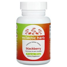 에클레틱 인스티튜트 블랙베리 후르츠 480mg 90베지캡슐 Non-GMO, 1개