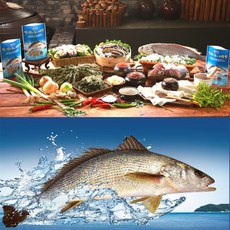 남도식 민어 전복 추어 어죽탕 여름철 간편 보양식 700g 레트로트 즉석국